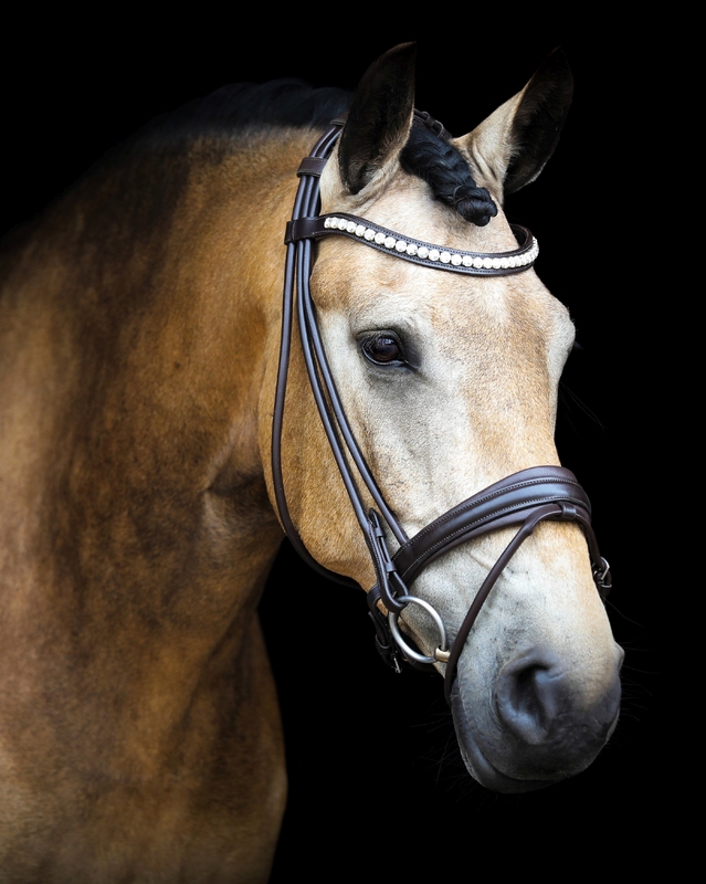 Hojatxonaga siyish fotosurati