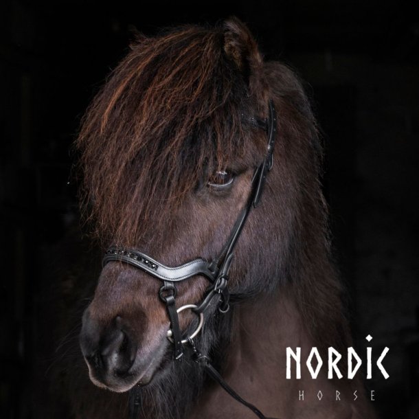 Nordic Horse Anatomisk Nosgrimma All Black svarta spännen