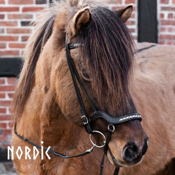 Nordic Horse Anatomisk Nosgrimma All White